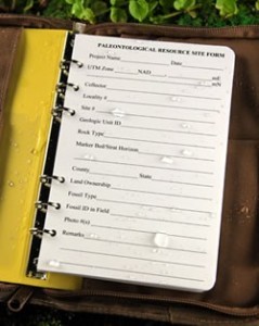 LL8511 : Loose Leaf Copier Forms