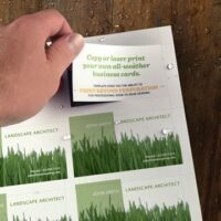 Business Cards
