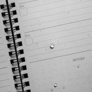 P52-LG waterproof planner calendar page